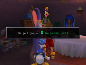 Kingdom Hearts Secrets