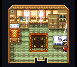 Terranigma Solution