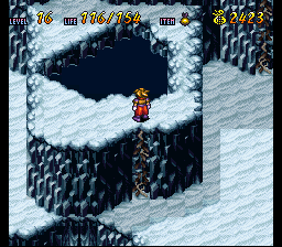 Terranigma Solution