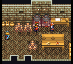 Terranigma Solution