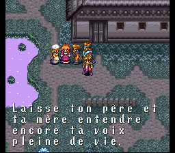 Terranigma Solution