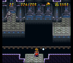 Terranigma Solution