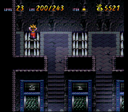 Terranigma Solution