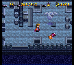 Terranigma Solution