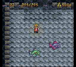 Terranigma Solution