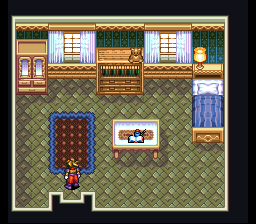 Terranigma Solution