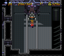 Terranigma Solution