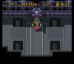 Terranigma Solution