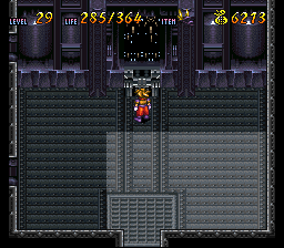 Terranigma Solution