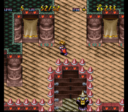 Terranigma Solution