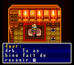 Terranigma Solution