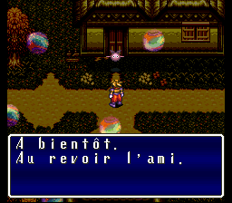 Terranigma Solution