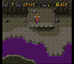 Terranigma Solution