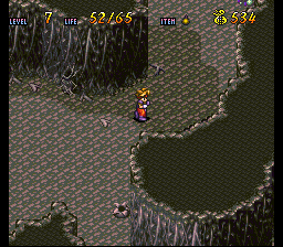 Terranigma Solution