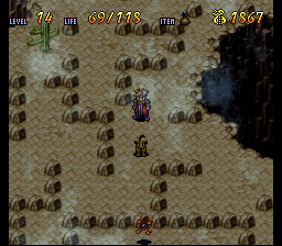 Terranigma Solution