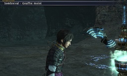 Test The last remnant