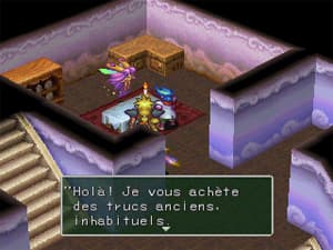 image solution village9