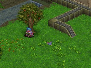 image solution imagebof3_645