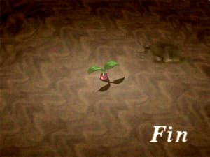 image solution imagebof3_658