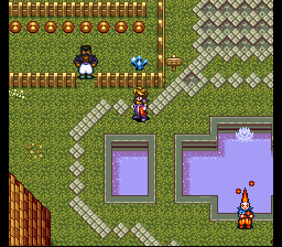 image solution Solution Terranigma