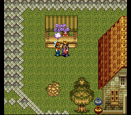 image solution Solution Terranigma
