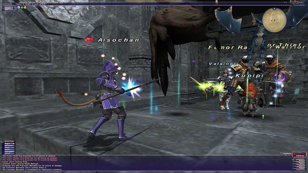 Final Fantasy XI Solution