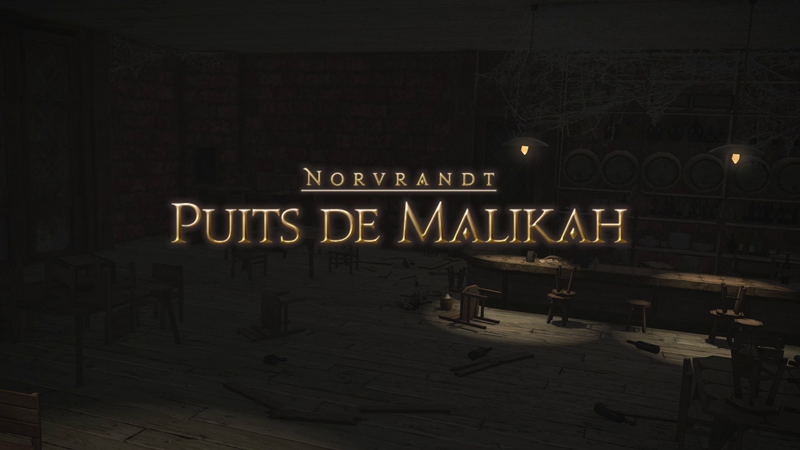 Final Fantasy XIV Le Puits de Malikah