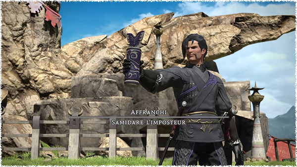 Final Fantasy XIV Solution