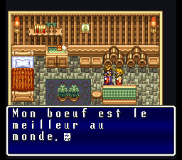 Terranigma Villes