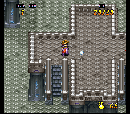 Terranigma Solution