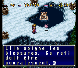 Terranigma Solution