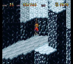 Terranigma Solution