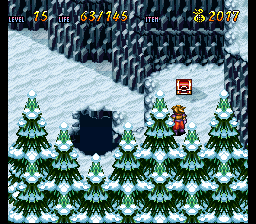 Terranigma Solution