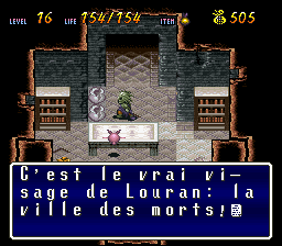 Terranigma Solution