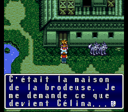 Terranigma Solution