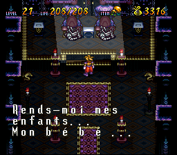 Terranigma Solution