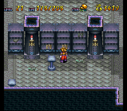 Terranigma Solution