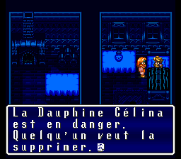 Terranigma Solution