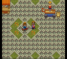 Terranigma Solution