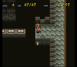 Terranigma Solution