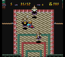 Terranigma Solution