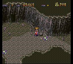 Terranigma Solution