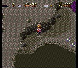 Terranigma Solution