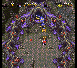 Terranigma Solution