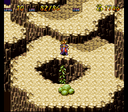 Terranigma Solution