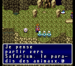 Terranigma Solution