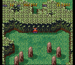 Terranigma Solution